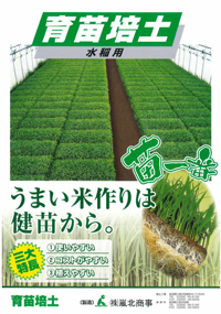 苗一番