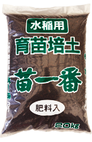 苗一番